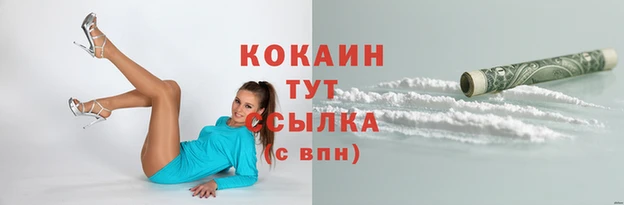 крисы Волосово