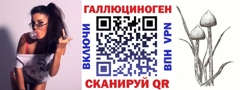 дарнет шоп Остров Псилоцибиновые грибы MAGIC MUSHROOMS